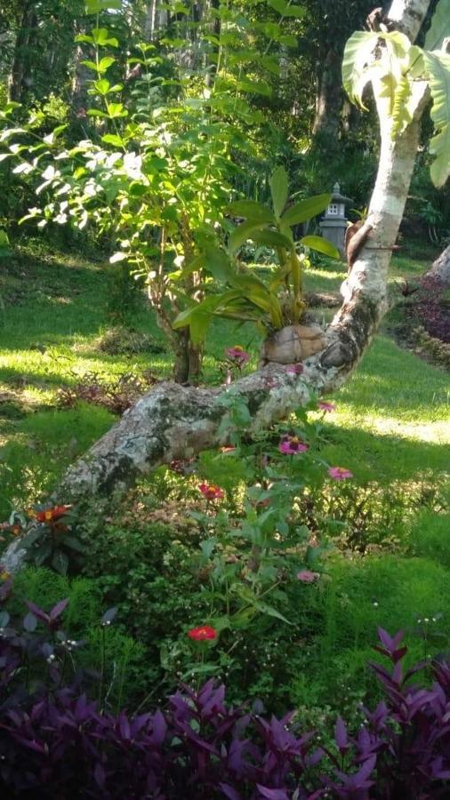 Balian Bliss Retreat Resort - Adults Only Esterno foto