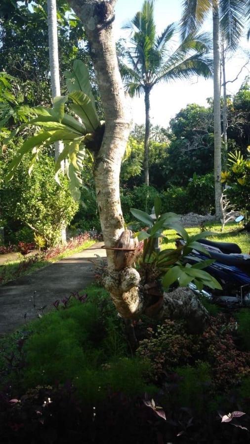 Balian Bliss Retreat Resort - Adults Only Esterno foto