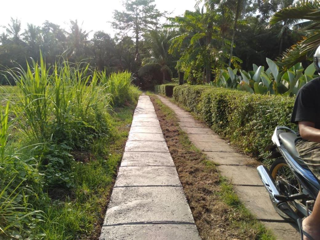 Balian Bliss Retreat Resort - Adults Only Esterno foto
