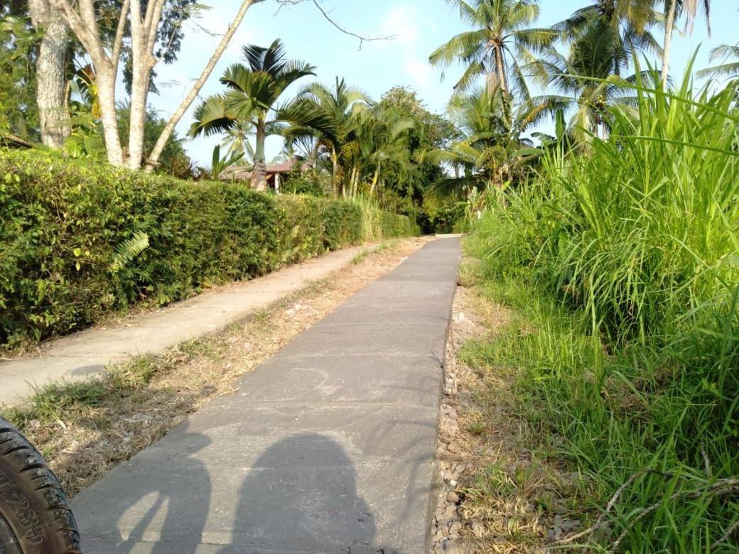Balian Bliss Retreat Resort - Adults Only Esterno foto