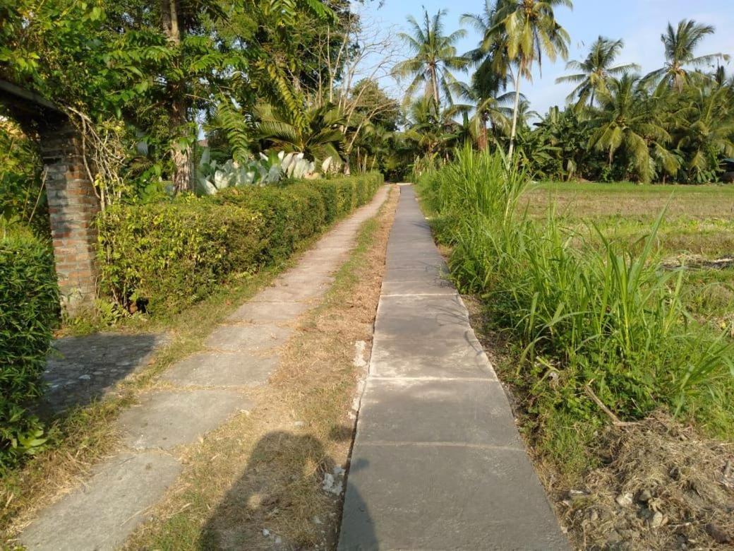 Balian Bliss Retreat Resort - Adults Only Esterno foto